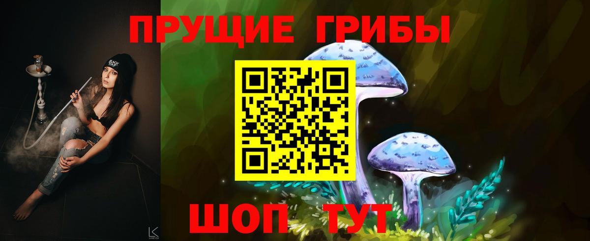 Галлюциногенные грибы Psilocybine cubensis Тутаев